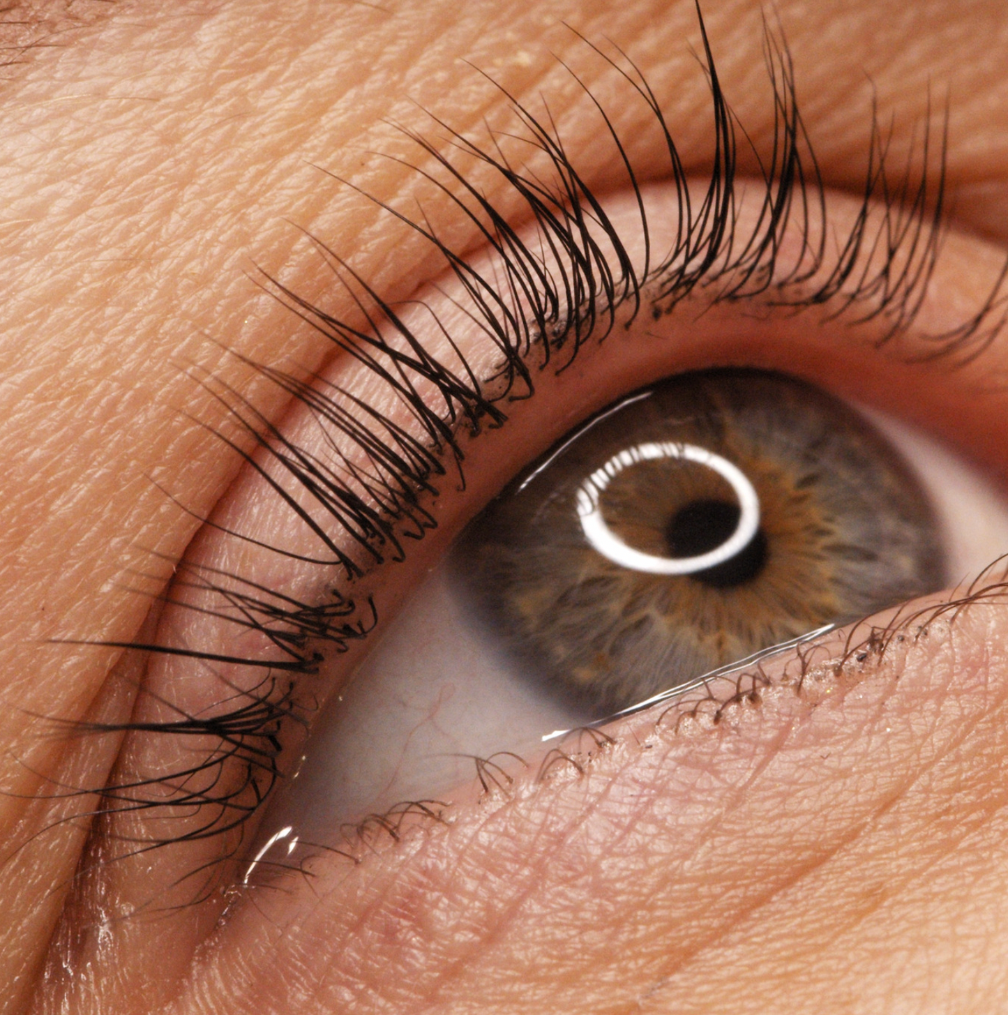Teinture de cils